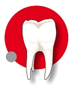 Policealne Studium Techniki Dentystycznej
